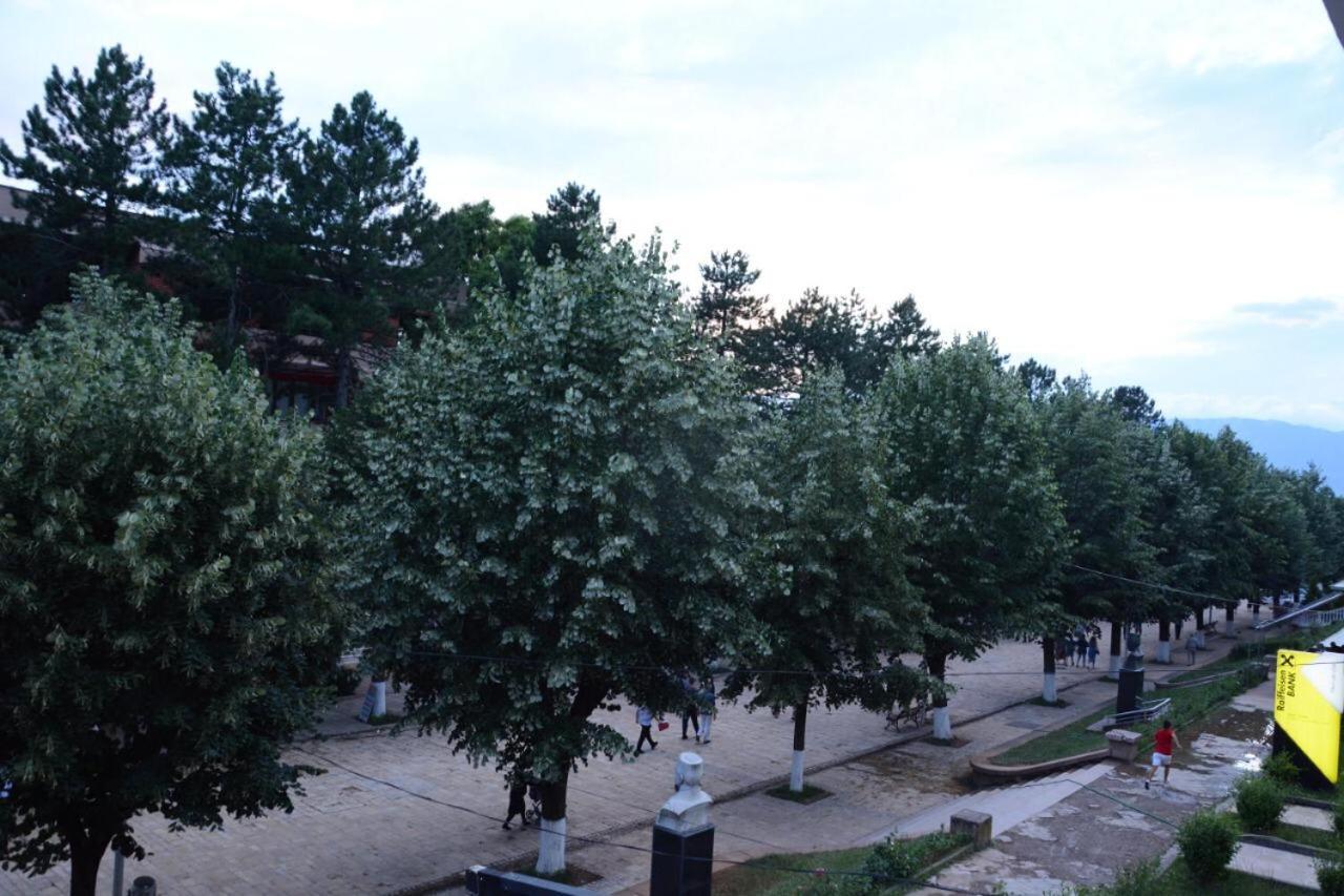 Royal Hotel Peshkopi Albania Екстериор снимка